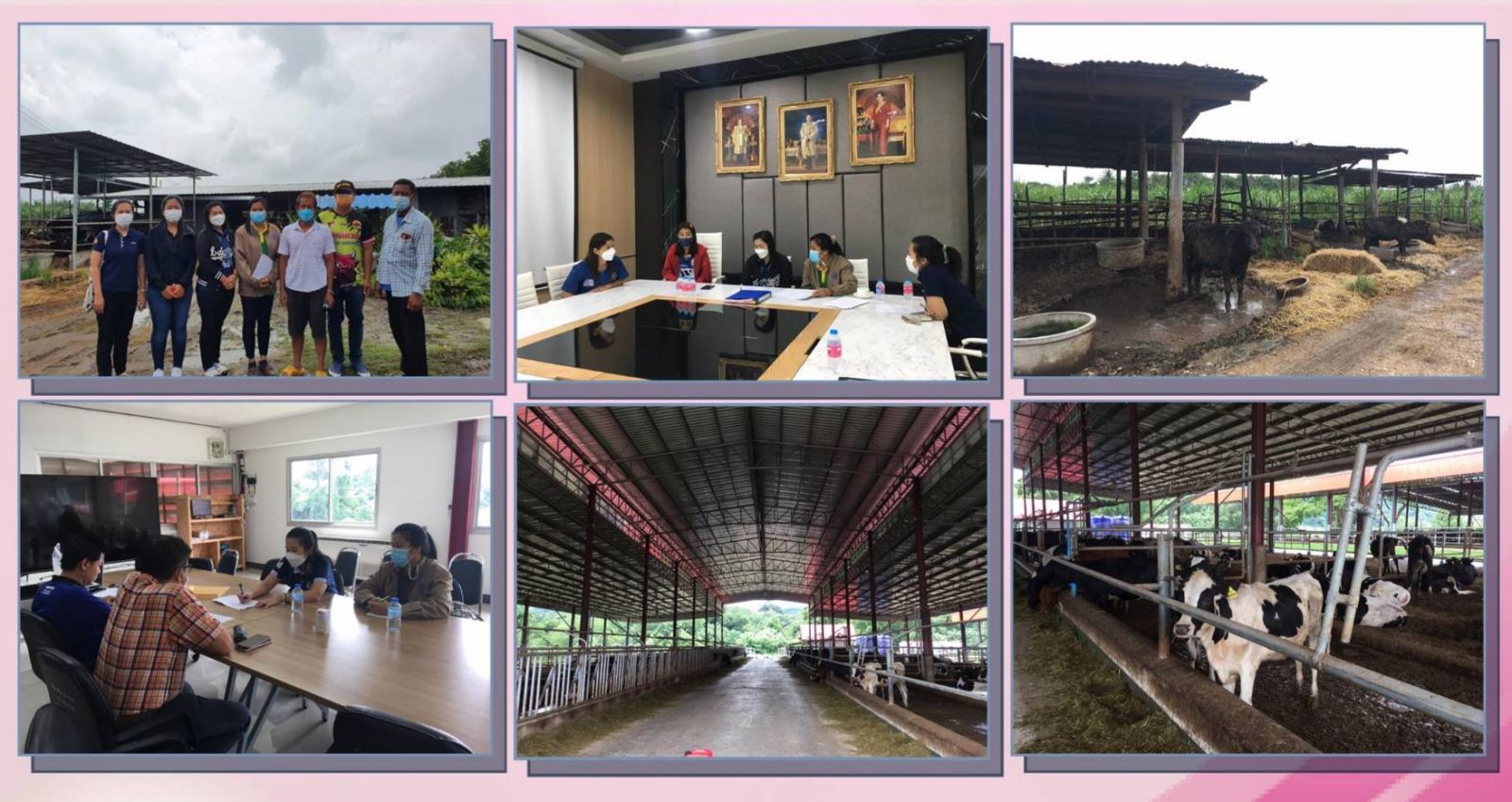 สศท.7 ลงพื้นที่ติดตามโครงการสร้างความมั่นคงด้านอาหารโคนม รองรับการเปิดเสรีทางการค้า (FTA) ในพื้นที่จังหวัดลพบุรี และโครงการจัดตั้งฟาร์มโคนมประสิทธิภาพสูง (Thai – Denmark Smart Daily Farm) ในพื้นที่จังหวัดสระบุรี