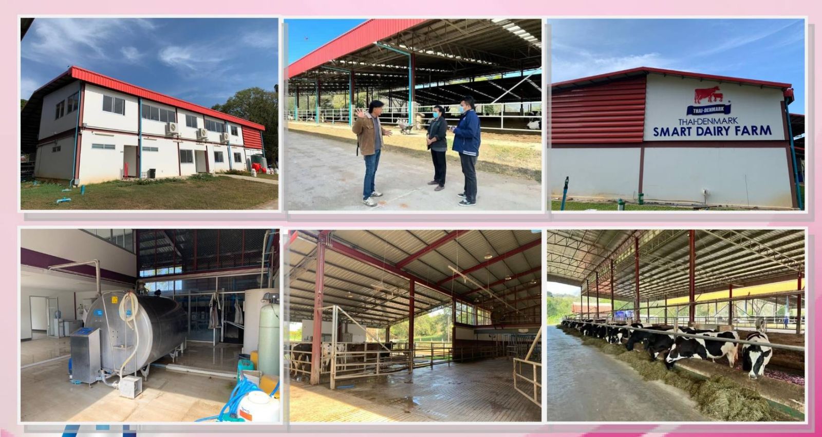 สศท.7 ลงพื้นที่ติดตามโครงการจัดตั้งฟาร์มโคนมประสิทธิภาพสูง(Thai-Denmark Smart Daily Farm)