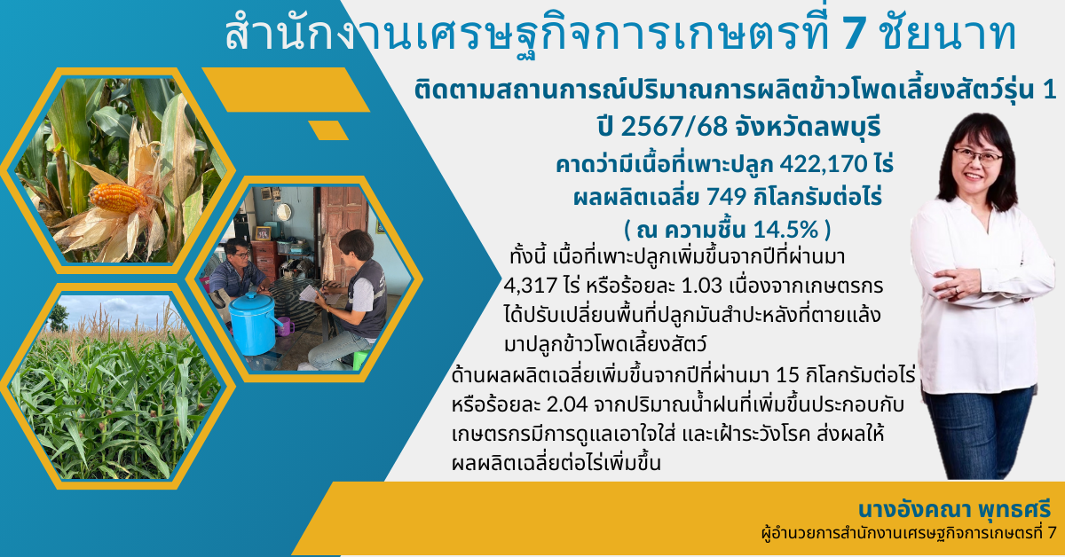 สศท.7 ติดตามสถาณการณ์ปริมาณการผลิตช้าวโพดเลี้ยงสัตว์รุ่น 1 ปี 2567/68 ลพบุรี