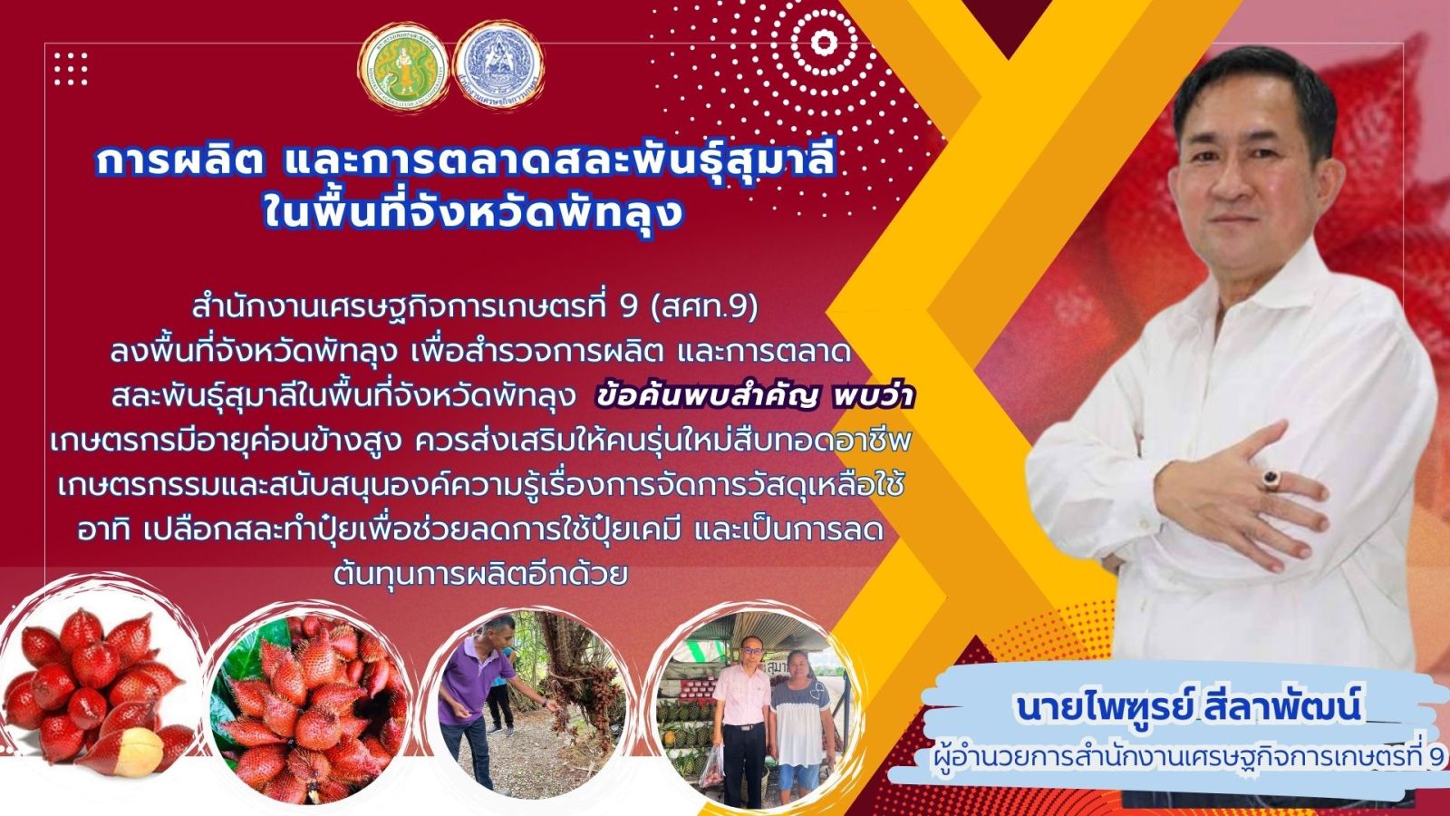 สศท.9 การผลิตปละการตลาดสละพันธุ์สุมาลีในพื้นที่จังหวัดพัทลุง