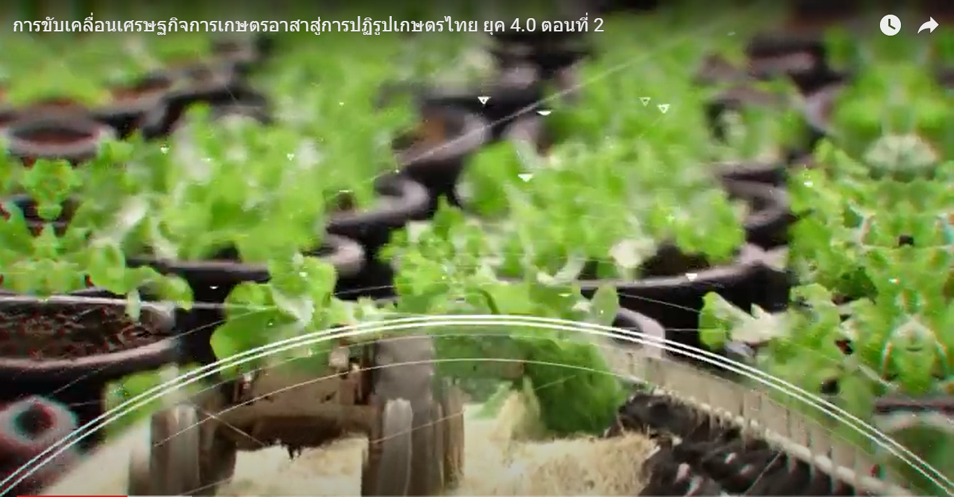 การขับเคลื่อนเศรษฐกิจการเกษตรอาสาสู่การปฏิรูปเกษตรไทย ยุค 4.0 ตอนที่ 2