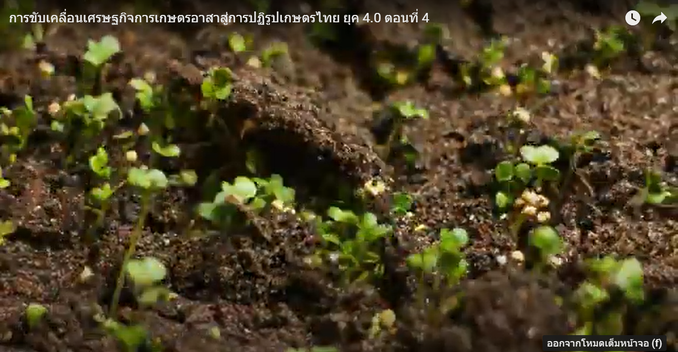 การขับเคลื่อนเศรษฐกิจการเกษตรอาสาสู่การปฏิรูปเกษตรไทย ยุค 4.0 ตอนที่ 4