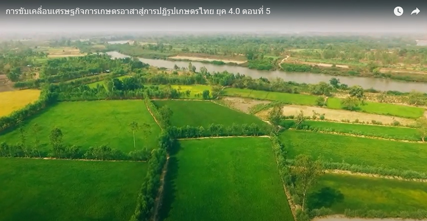 การขับเคลื่อนเศรษฐกิจการเกษตรอาสาสู่การปฏิรูปเกษตรไทย ยุค 4.0 ตอนที่ 5
