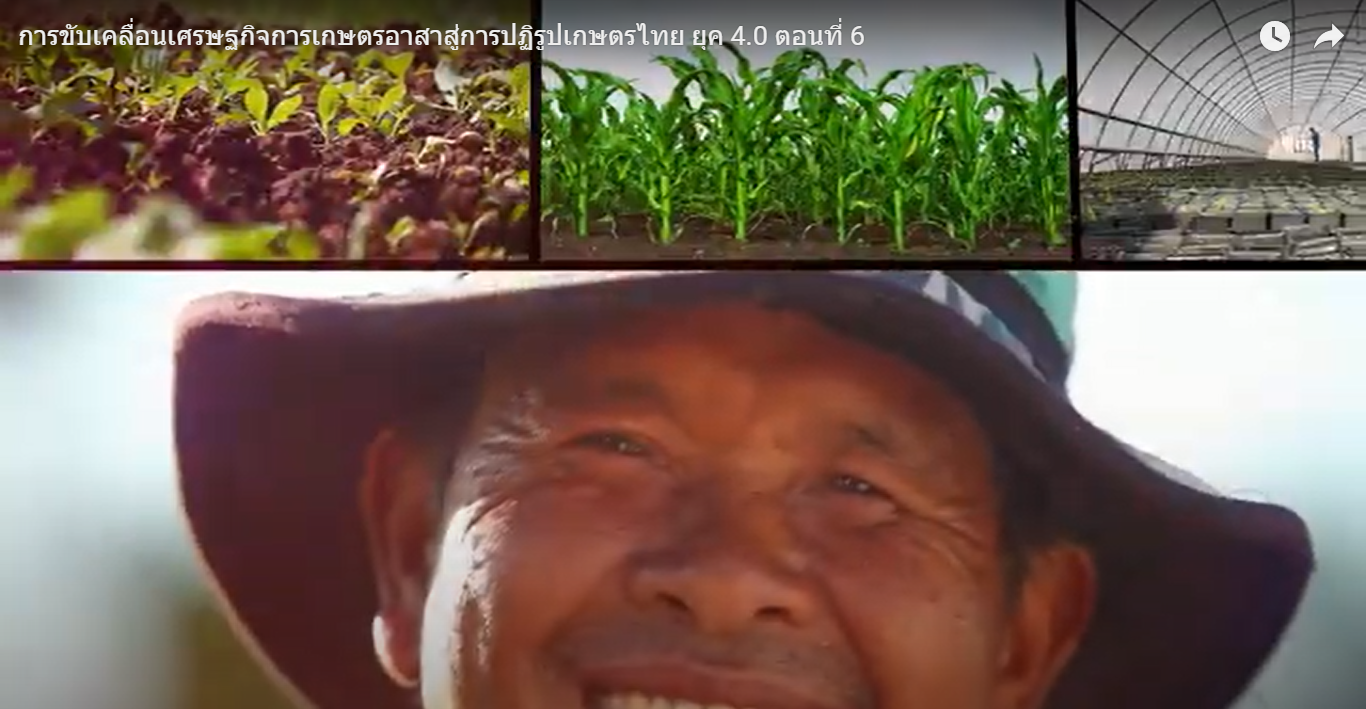 การขับเคลื่อนเศรษฐกิจการเกษตรอาสาสู่การปฏิรูปเกษตรไทย ยุค 4.0 ตอนที่ 6