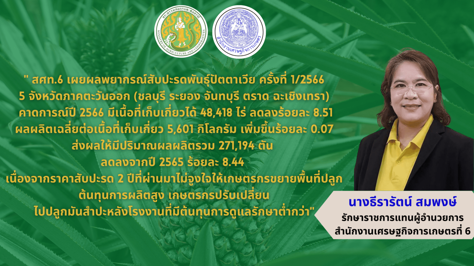 สศท.6 เผยผลพยากรณ์สับปะรดพันธุ์ปัตตาเวีย 5 จังหวัดภาคตะวันออก ปี 2566