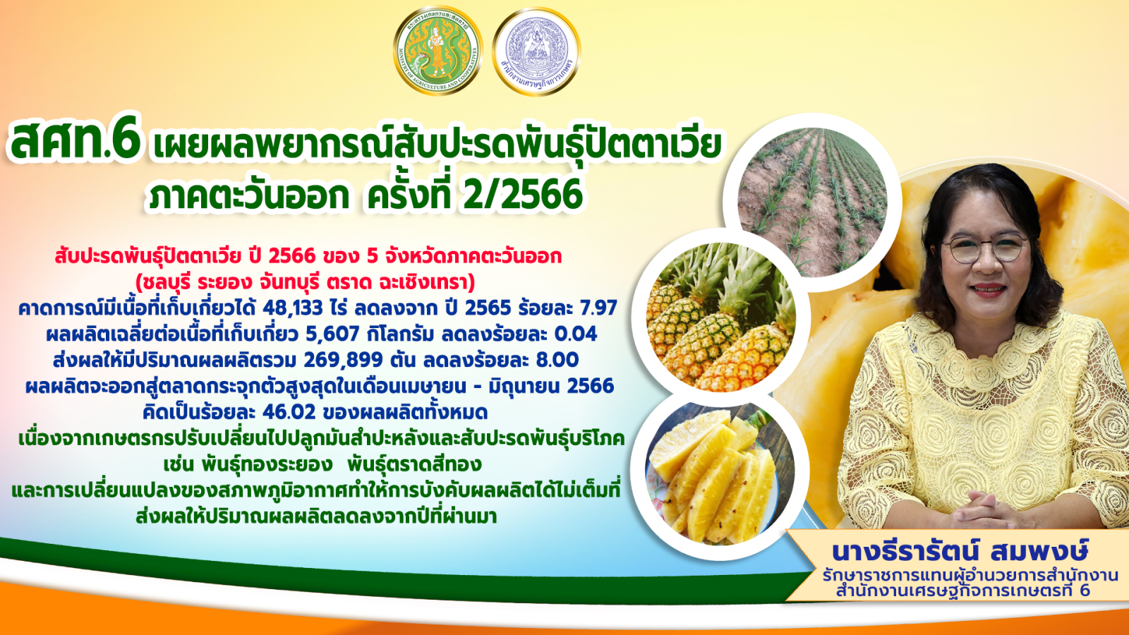 สศท.6 เผยผลพยากรณ์สับปะรดพันธุ์ปัตตาเวีย 5 จังหวัดภาคตะวันออก ครั้งที่ 2/2566