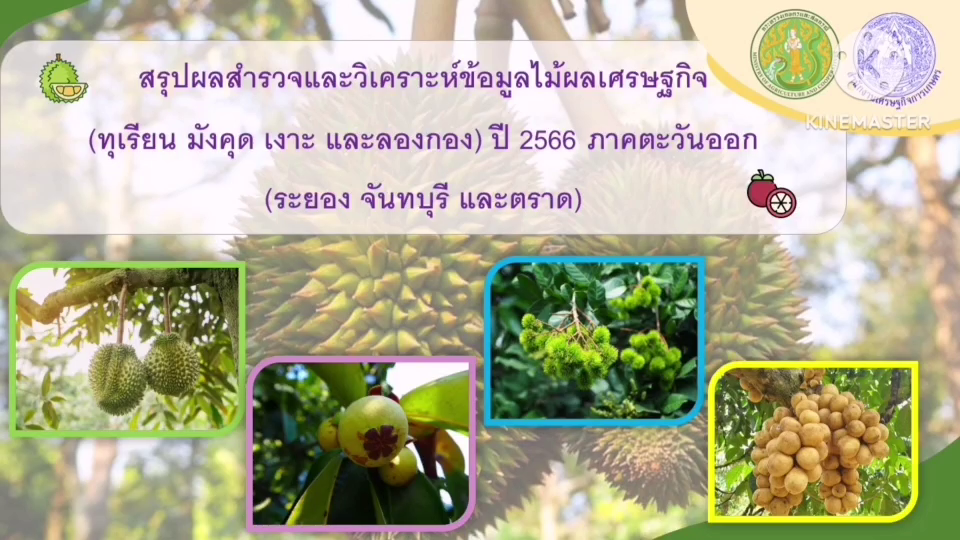 สรุปผลสำรวจและวิเคราะห์ข้อมูลไม้ผลเศรษฐกิจ (ทุเรียนมังคุด เงาะและลองกอง) ปี 2566 ภาคตะวันออก (ระยอง จันทบุรีและตราด)