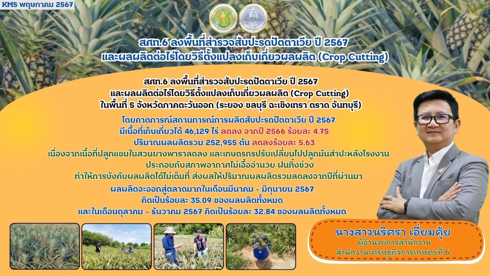 สศท.6 ลงพื้นที่สำรวจสับปะรดปัตตาเวีย ปี 2567 และผลผลิตต่อไร่โดยวิธีตั้งแปลงเก็บเกี่ยวผลผลิต (Crop Cutting)