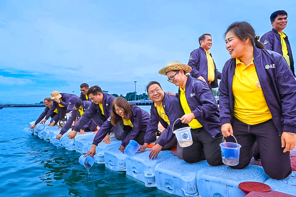 สศก. ศึกษาดูงานธนาคารปู และปล่อยลูกปูคืนสู่ธรรมชาติ ณ กลุ่มประมงเรือเล็กหน้าวัดโกมุท จ.ชลบุรี