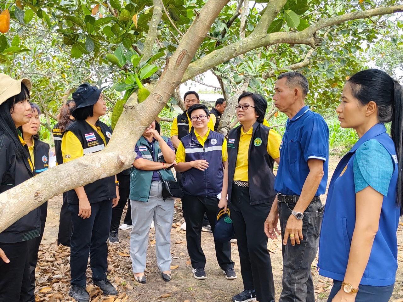 นางสาวนริศรา เอี่ยมคุ้ย  ผอ.สศท.6 เข้าร่วมประชุมการตรวจติดตามผลการดำเนินงานตามแผนการตรวจราชการกระทรวงเกษตรและสหกรณ์ ประจำปีงบประมาณ พ.ศ. 2568 รอบที่ 1