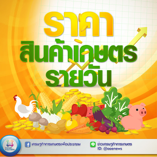 ราคารายวันปะจำ 16 ก.พ. 64