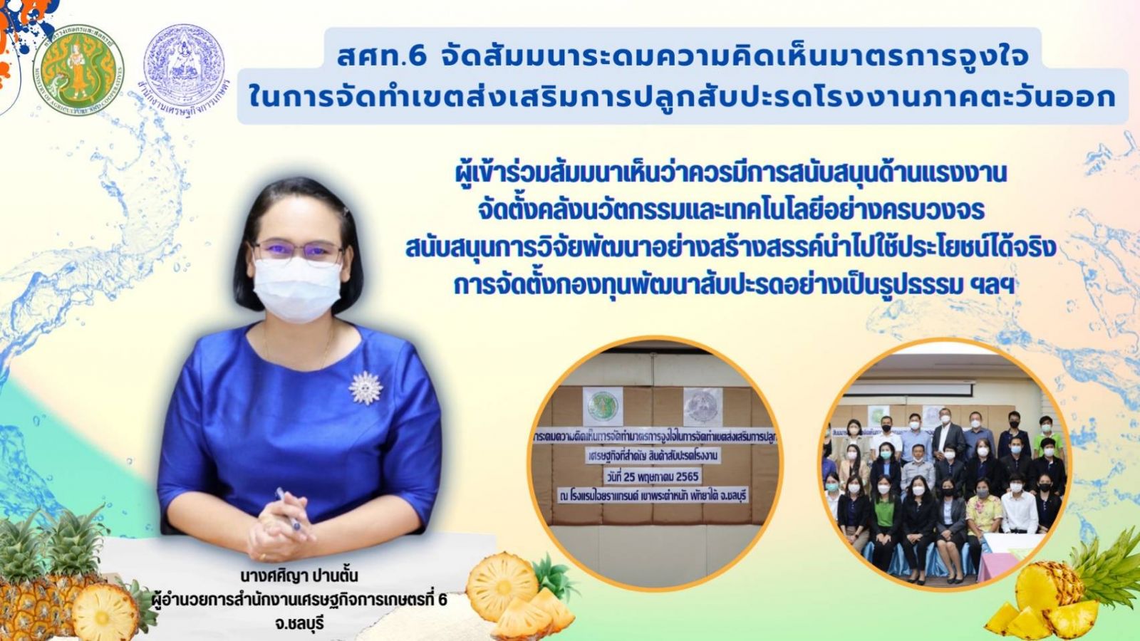 สศท.6 จัดสัมมนาระดมความคิดเห็นมาตรการจูงใจในการจัดทำเขตส่งเสริมการปลูกสับปะรดโรงงานภาคตะวันออก