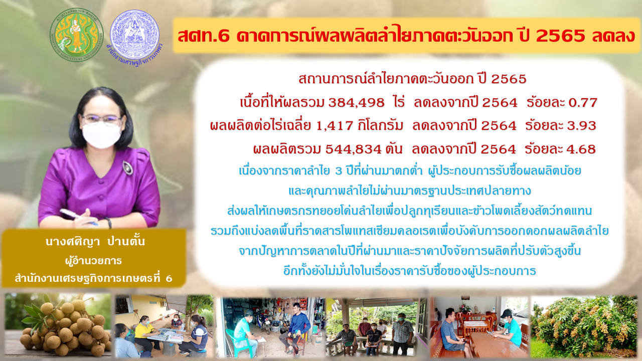 (สศท.6) เผยถึงสถานการณ์ลำไยภาคตะวันออก ปี 2565 คาดว่ามีผลผลิตลำไยรวม 544,834 ตัน ลดลงจากปี 2564 ร้อยละ 4.68