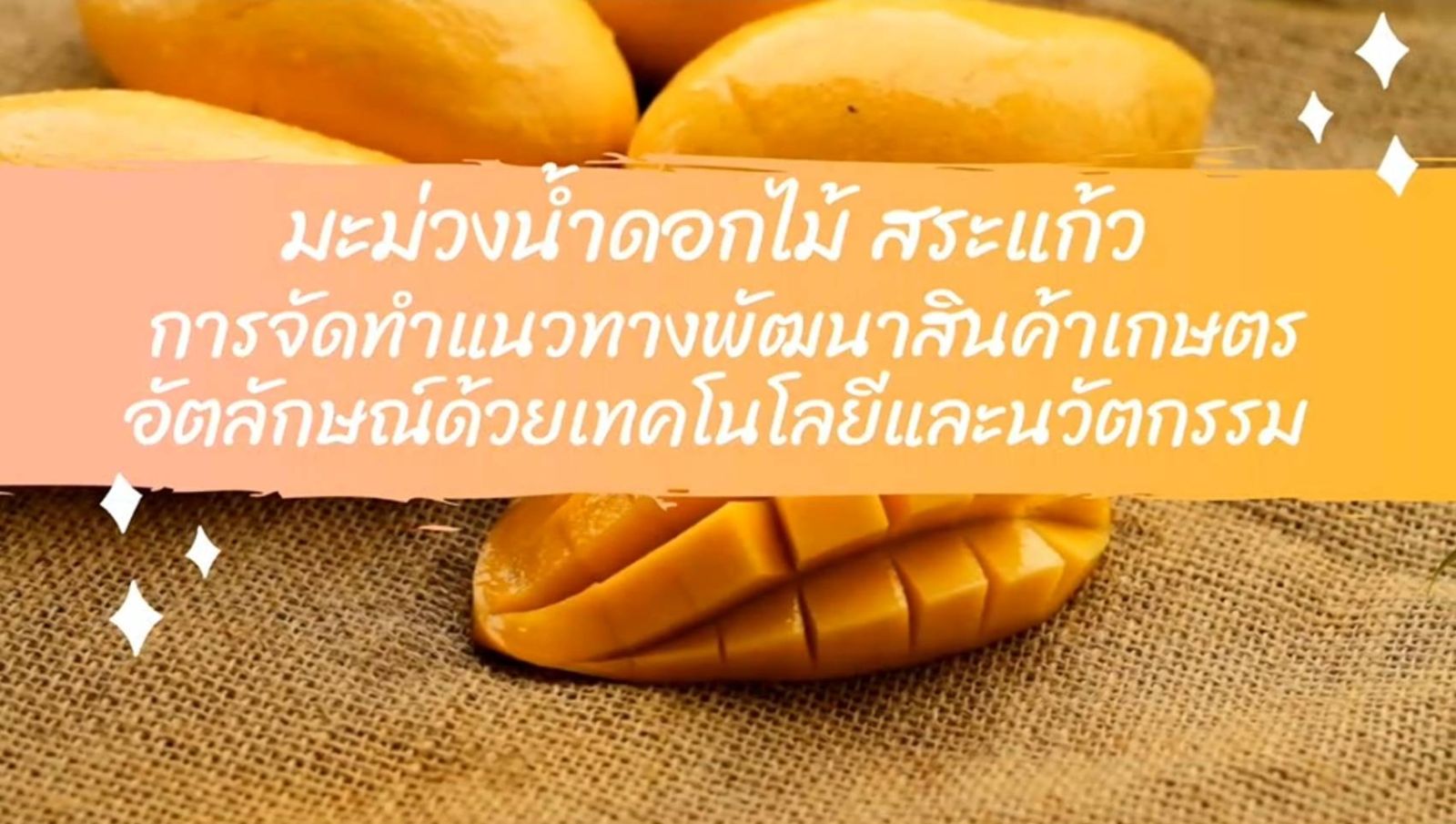 Mojo ส.ค. 65 มะม่วงน้ำดอกไม้ สระแก้ว การจัดทำแนวทางพัฒนาสินค้าเกษตร อัตลักษณ์ด้วยเทคโนโลยีและนวัตกรรม