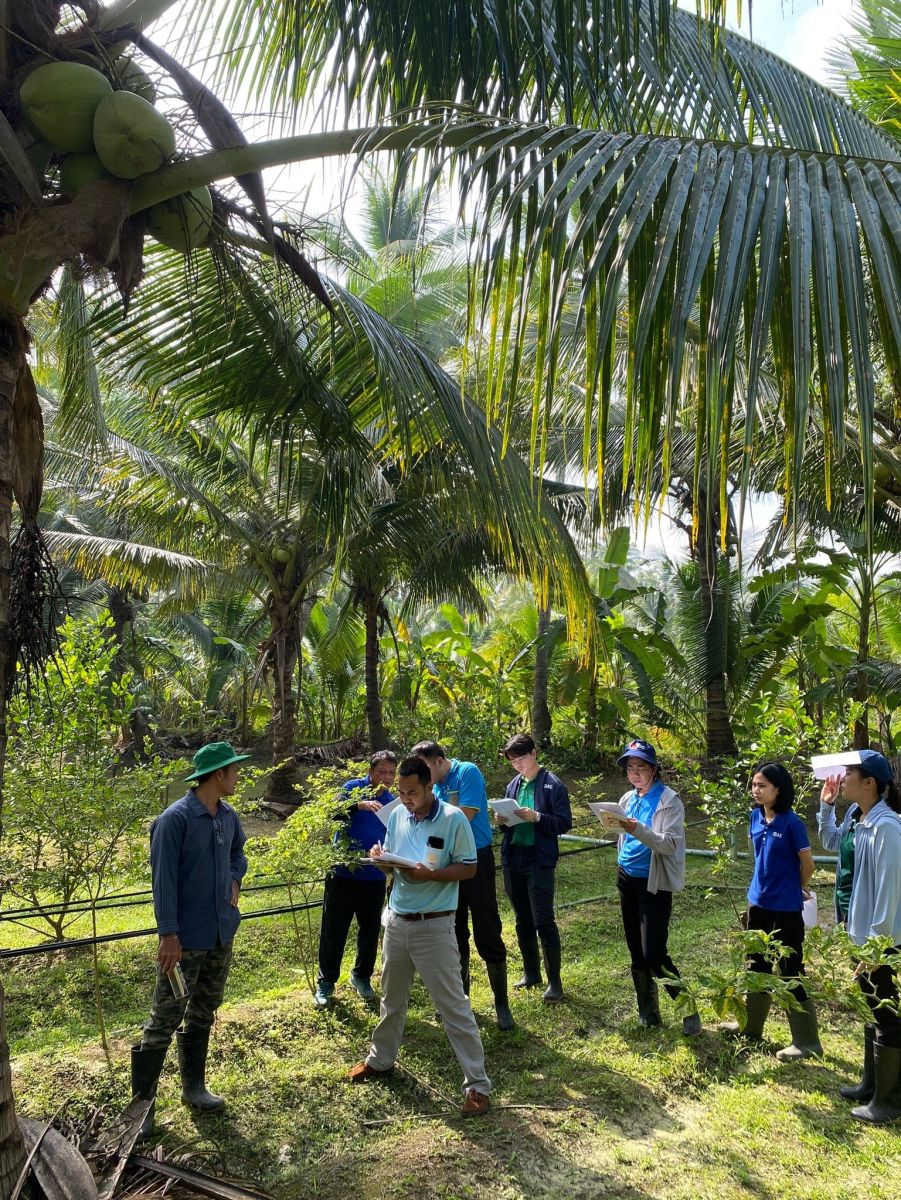 สศท.8 จัด KM แลกเปลี่ยนเรียนรู้ระหว่างทีมนับทะลายปาล์มน้ำมันและทีมนับทะลายมะพร้าว