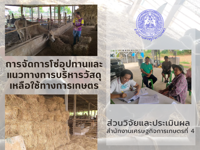 สศท.4 ลงพื้นสำรวจข้อมูลงานวิจัย ปี 2566 การจัดการโซ่อุปทานและแนวทางการบริหารวัสดุเหลือใช้ทางการเกษตร