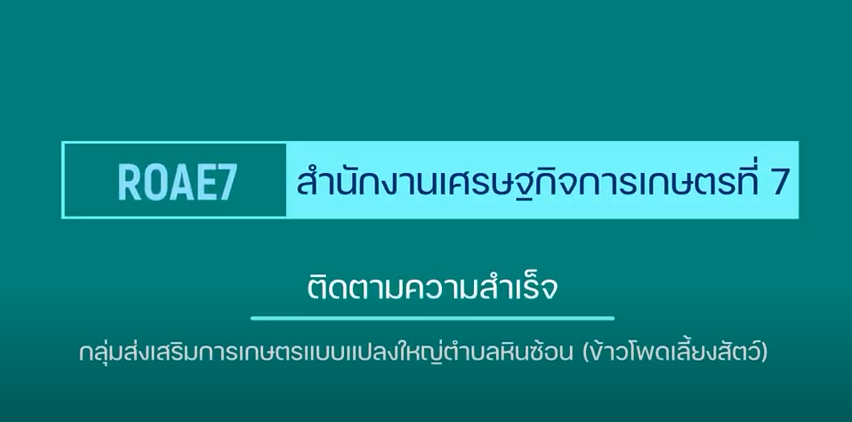 สำนักงานเศรษฐกิจการเกษตรที่ 7 ติดตามความสำเร็จ แปลงใหญ่ข้าวโพดเลี้ยงสัตว์ หินซ้อน