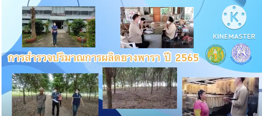 สำนักงานเศรษฐกิจการเกษตรที่ 7 ชัยนาท พาสำรวจยางพารา ปี 2565