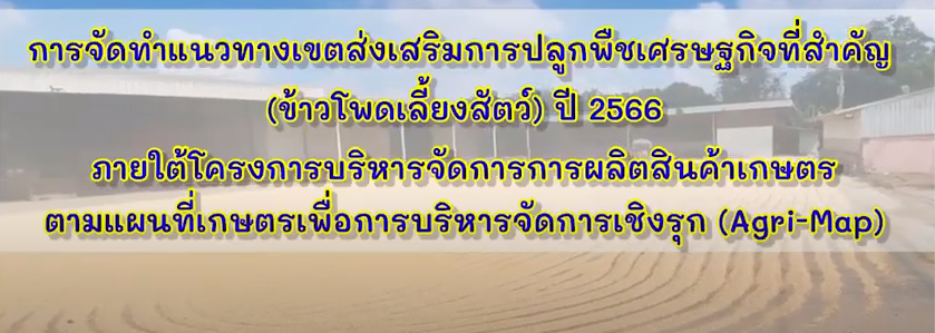 การจัดทำแนวทางการปลูกพืชเศรษฐกิจที่สำคัญ ข้าวโพดเลี้ยงสัตว์ ปี 2566 ภ่ยใต้ Agri Map