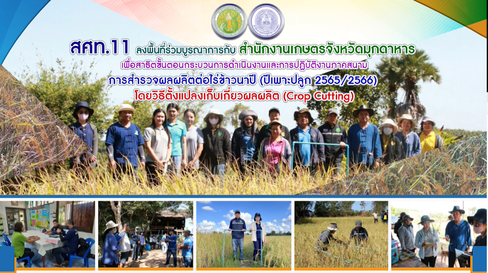 สศท.11 ร่วมกับ สนง.เกษตร จ.มุกดาหาร สาธิตขั้นตอนการสำรวจโดยวิธีตั้งแปลงเก็บเกี่ยวผลผลิตข้าวนาปี