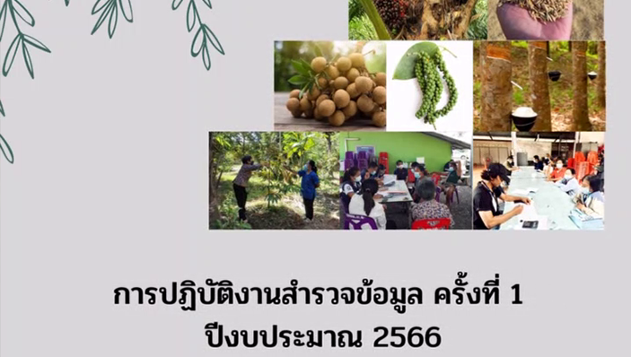 สศท.6 การปฏิบัติงานสำรวจข้อมูล ครั้งที่ 1-2566 (สสส)