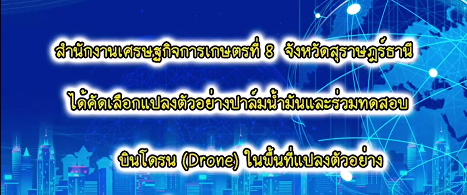 คัดเลือกแปลงตัวอย่างปาล์มน้ำมันและร่วมทดสอบบินโดรน (Drone) ในพื้นที่แปลงตัวอย่าง