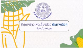 สศท.9 ทิศทางข้าวโพดเลี้ยงสัตว์ พืชทางเลือก จังหวัดสงขลา