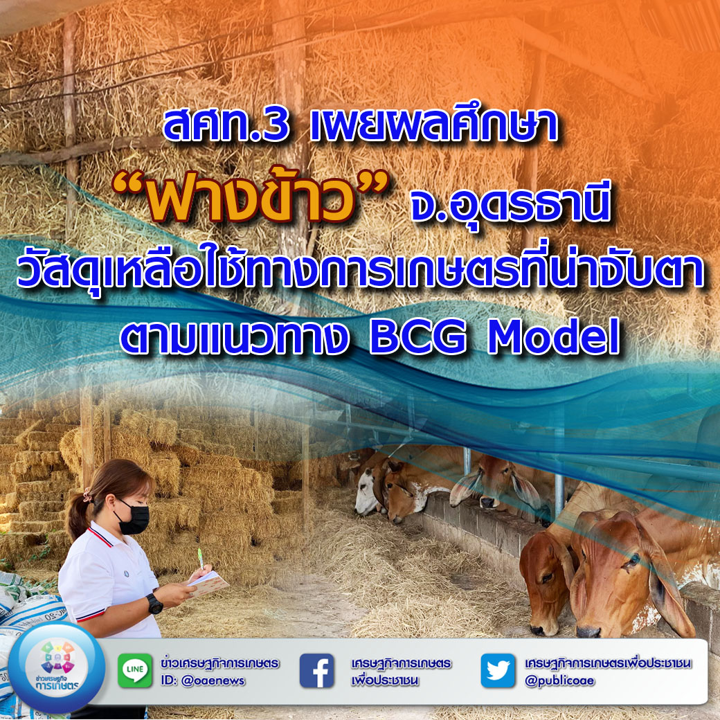 สศท.3 เผยผลศึกษา “ฟางข้าว” จ.อุดรธานี วัสดุเหลือใช้ทางการเกษตรที่น่าจับตา ตามแนวทาง BCG Modelวันที่ 28 กันยายน 2566