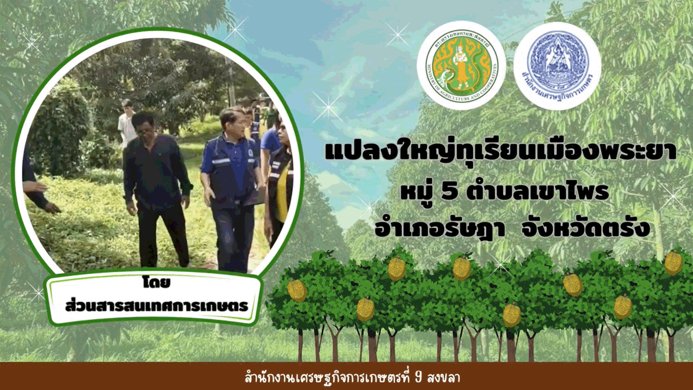 สศท.9 แปลงใหญ่ทุเรียนเมืองพระยา หมู่ 5 ตำบลเขาไพร อำเภอรัษฎา จังหวัดตรัง