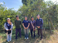 ROAE2 went to the field to survey and verify the interpretation of sweet orange tree area data in 2024, Sukhothai and Phrae