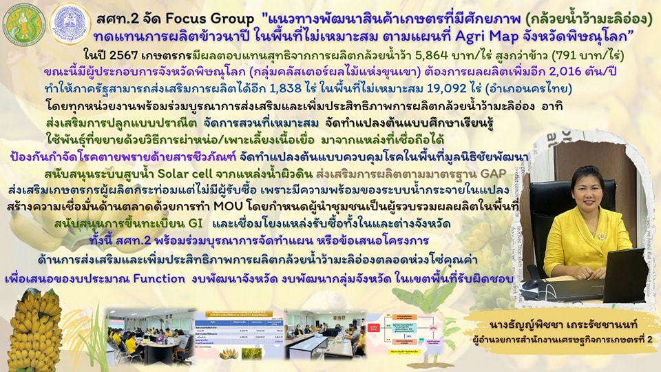 สศท.2 จัดประชุม Focus Group แนวทางพัฒนากล้วยน้ำว้า จ.พิษณุโลก