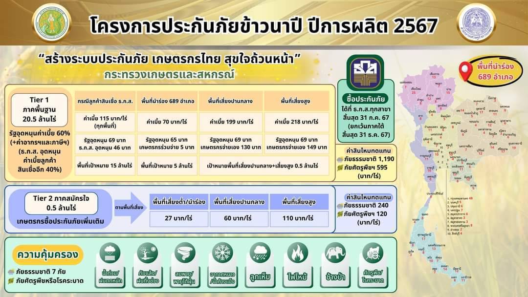 โครงการประกันภัยข้าวนาปี ปีการผลิต 2567